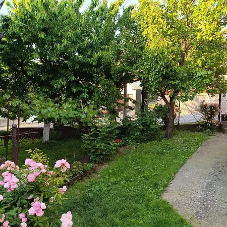 Entire House 80M2 Apartment